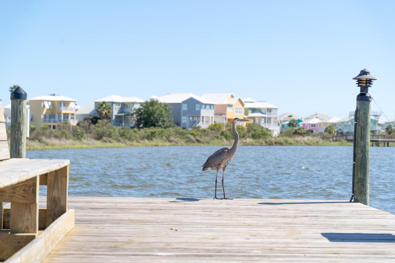 Apartamento Compass Point 310 Gulf Shores Exterior foto
